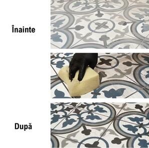 LTP Profesional Grout Stain Remover (rimuove cemento, boiacca e calcare), 5 L