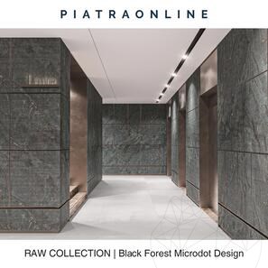 Lastra di Granito Black Forest Microdot Design 2CM