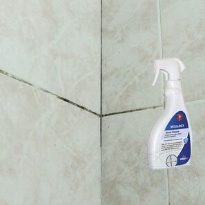 LTP Profesional Mouldex, Detergente per spore di muffa (pulisce e mantiene), 500 ml