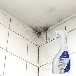 LTP Profesional Mouldex, Detergente per spore di muffa (pulisce e mantiene), 500 ml