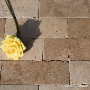 Travertino burattato classico a taglio incrociato, 7,5 x 20,3 x 1 cm