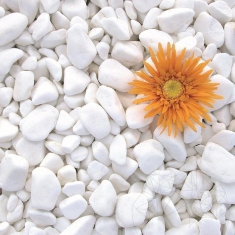Ciottoli di marmo Alba Thassos, 1-3 cm Sacco 20 kg