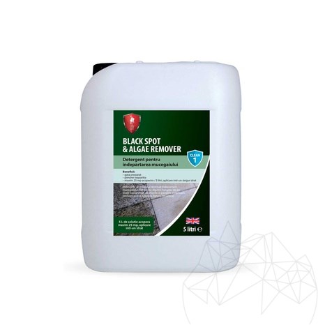 LTP Profesional Black Spot & Algae Remover, 5 L