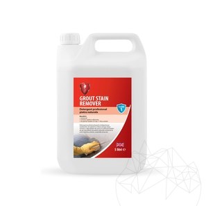 LTP Profesional Grout Stain Remover (rimuove cemento, boiacca e calcare), 5 L