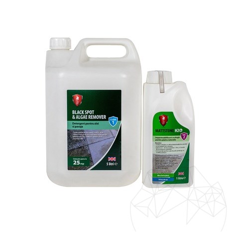 CLEANPAV Kit LTP - rimuove muschio e muffe dalle pavimentazioni esterne