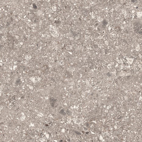 Pietra sinterizzata L'ALTRA PIETRA Fortezza Ceppo, 60  X 120 X 2 cm, R11 - Antiscivolo per uso esterno